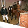 horseland_hubertus_2012_011