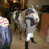 horseland_hubertus_2012_012