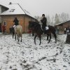 horseland_hubertus_2012_029