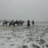 horseland_hubertus_2012_138