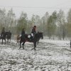 horseland_hubertus_2012_208
