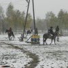 horseland_hubertus_2012_210