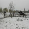 horseland_hubertus_2012_240