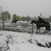 horseland_hubertus_2012_241